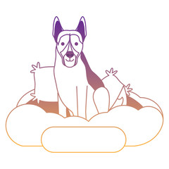 cute dog design