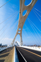 Obraz premium 豊田大橋