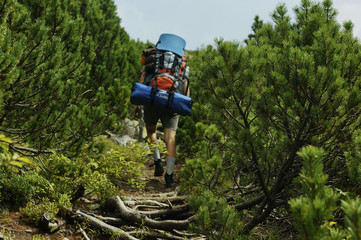 Obraz premium hiker on a trail