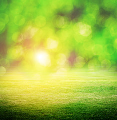 Obraz premium Clear beauty bokeh landscape