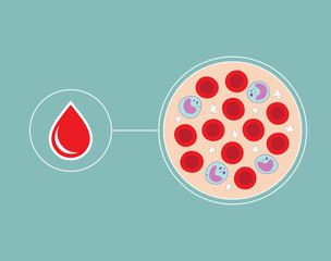 Hand drawn cells of the blood and blood droplet - plasma - red blood cells - white blood cells - platelets 