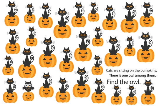 Find owl among cats on pumpkins, halloween fun education puzzle game for children, preschool worksheet activity for kids, task for the development of logical thinking and mind, vector illustration