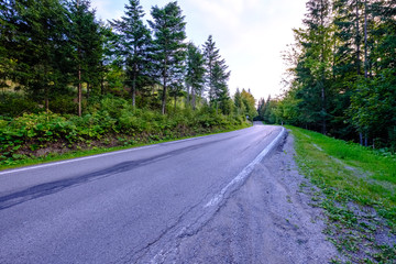 asphalted road leading up to the mountains in forest