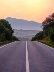 asphalted road leading up to the mountains in forest