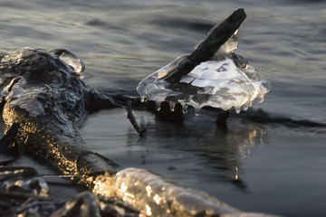 Eisblumen am Fluss im Januar