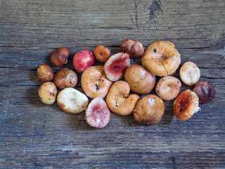 Obraz premium A variety of raw fresh forest mushrooms on wooden background