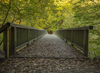 Brücke im herbstlichen Wald