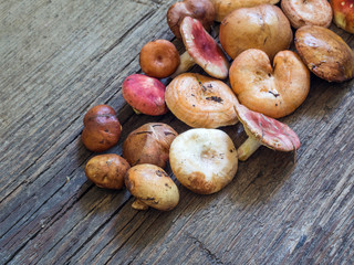 A variety of raw fresh forest mushrooms on wooden background
