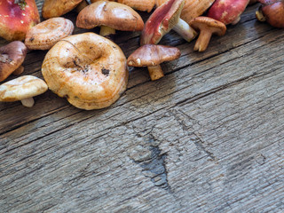 A variety of raw fresh forest mushrooms on wooden background