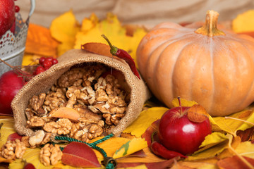 autumn harvest - fruits and vegetables are on fallen yellow leaves, nuts, apples, pumpkins, rowan and pepper. Perfect background for autumn season.