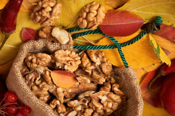 autumn harvest - fruits and vegetables are on fallen yellow leaves, nuts, apples, pumpkins, rowan and pepper. Perfect background for autumn season.