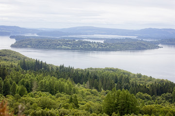 Looking down on the wooded island of Inchlonaig in Loch Lomond from the slopes of Beinn Uird, Loch Lomond and The Trossachs National Park, Scotland, UK.