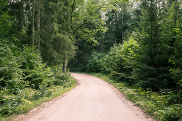 Fototapeta na wymiar Road to Pokaini Forest
