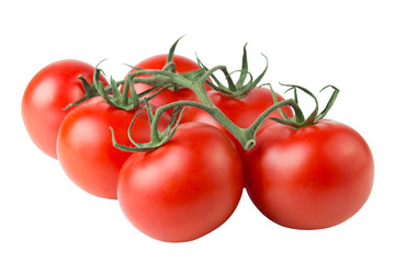 Fresh branch of tomato fruits angle view isolated on white background