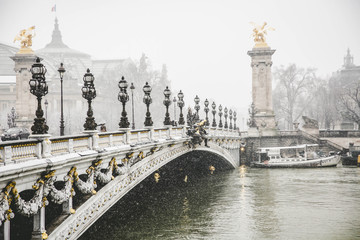 The Alexander III Bridge  in Paris . Paris