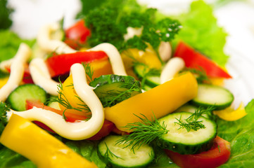 vegetable salad of cucumbers, tomatoes, lettuce leaves