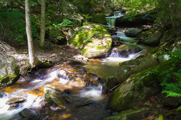 Naklejka na ściany i meble Waterfall Flowing Through Timberland In Pennsylvania Gorge