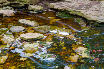 Fresh Water Stream Flowing Over Moss Covered Bedrock