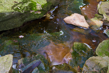 Fresh Water Stream Flowing Over Moss Covered Bedrock