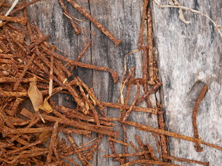 old rusty screw,metal and wood