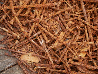 old rusty screw,metal