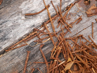 old rusty screw,metal