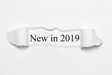 Fototapeta premium New in 2019 on white torn paper
