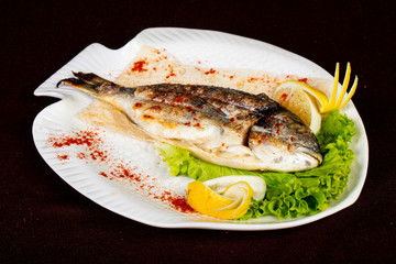 Grilled dorada fish