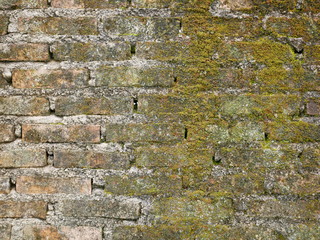 old stone wall,moss 