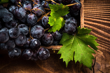 Blue dark vine grapes