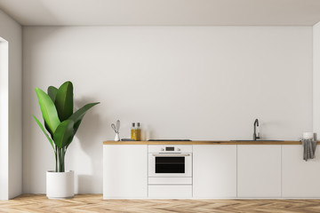 White kitchen island and plant, minimalism
