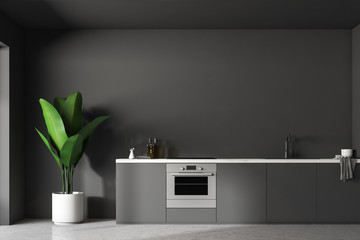 Gray kitchen island and plant, minimalism