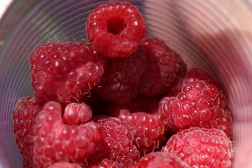 Raspberry 