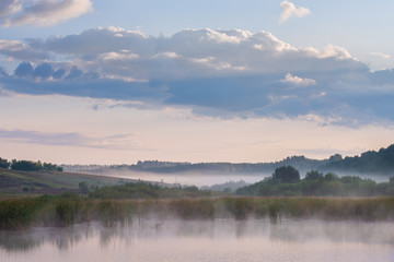 trees on meadow covered in dense fog with beautiful pastel sky on background 
