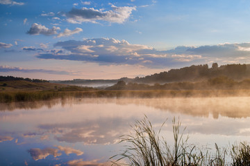 trees on meadow covered in dense fog with beautiful pastel sky on background 
