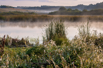 trees on meadow covered in dense fog with beautiful pastel sky on background 
