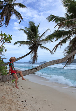 Seychelloise assise sur tronc de cocotier