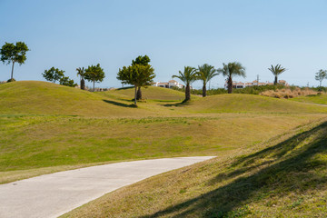 Path going through golf course in Spain with clear blue sky and palm trees