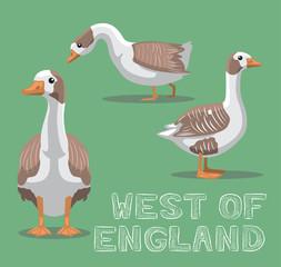 Domestic Goose West of England Cartoon Vector Illustration