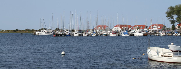 Hafen von Rerik an der Ostsee 1