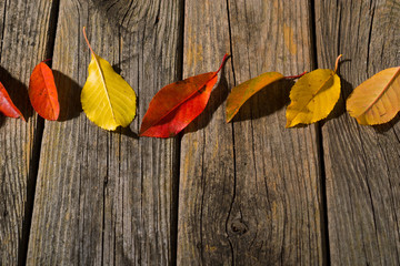 autumn leaves frame on old weathered wooden table background