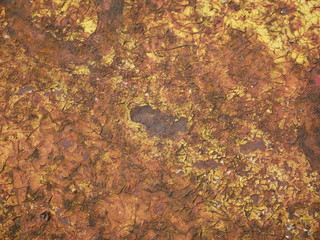 abstract grunge background,rusty yellow wall texture