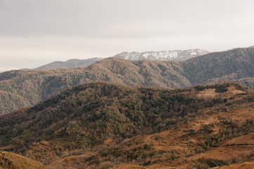Fototapeta na wymiar Autumn georgian landscape of high mountains and hills with orange trees