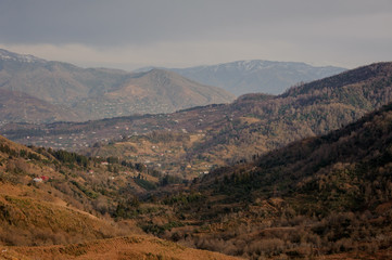 Fototapeta na wymiar Autumn georgian landscape of rural part of Batumi town in mountains in orange colors