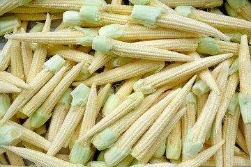 Baby corn for background.