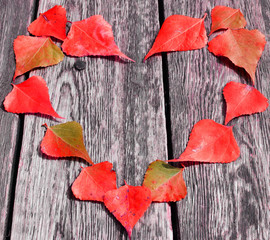 Heart of colored leaves. Love. Pattern of autumn leaves. Autumn mood. Crafts from natural materials. Valentine's day. Fallen leaves in the Park on the bench.