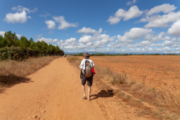 Camino de Santiago Spain