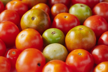 Group of multicolored cherry tomatoes