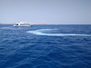 Fototapeta premium boat in sea