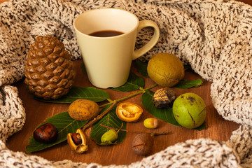 Naturmaterialien zum Dekorieren und Basteln